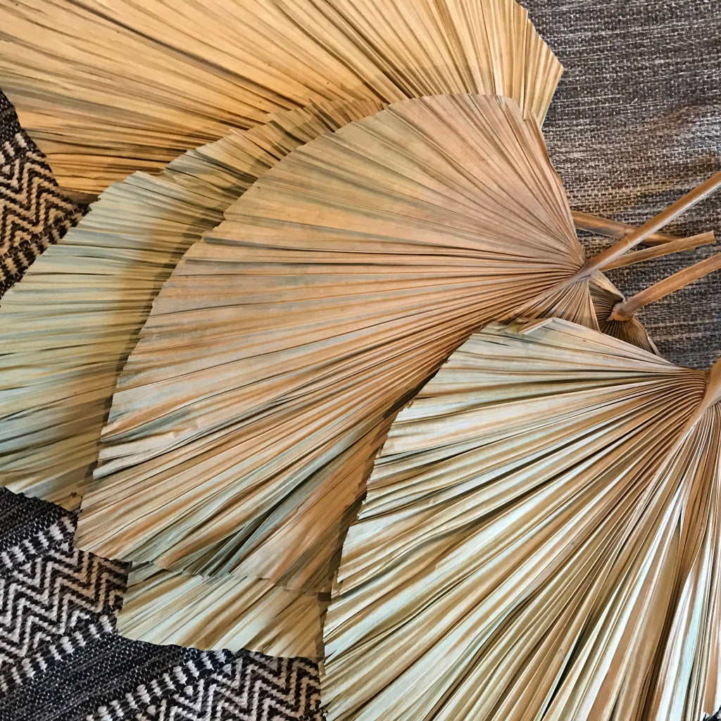 Dried Palm Leaf