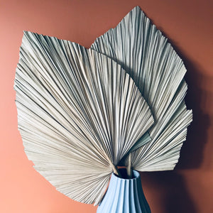Dried Palm Leaf